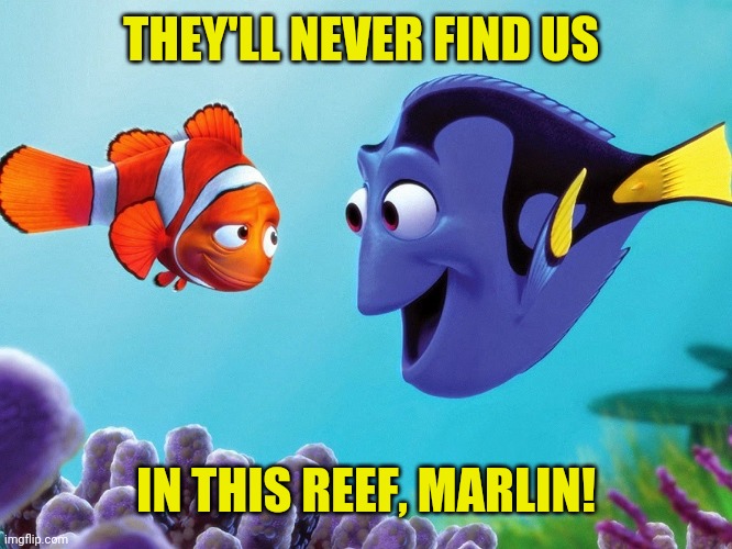 marline dory | THEY'LL NEVER FIND US IN THIS REEF, MARLIN! | image tagged in marline dory | made w/ Imgflip meme maker