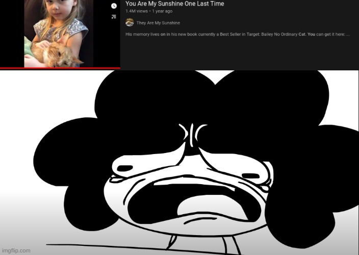 Im crying while making this | image tagged in sr pelo crying | made w/ Imgflip meme maker