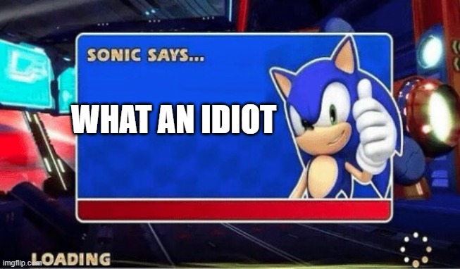 Sonic Says | WHAT AN IDIOT | image tagged in sonic says | made w/ Imgflip meme maker