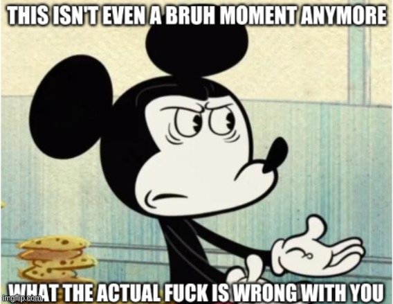 wtf is wrong with you | image tagged in mickey,wtf | made w/ Imgflip meme maker