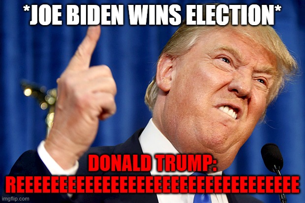 Donald Trump | *JOE BIDEN WINS ELECTION*; DONALD TRUMP: REEEEEEEEEEEEEEEEEEEEEEEEEEEEEEEEE | image tagged in donald trump | made w/ Imgflip meme maker