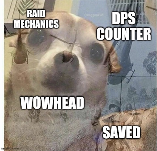 The horrors | RAID MECHANICS; DPS COUNTER; WOWHEAD; SAVED | image tagged in ptsd chihuahua | made w/ Imgflip meme maker