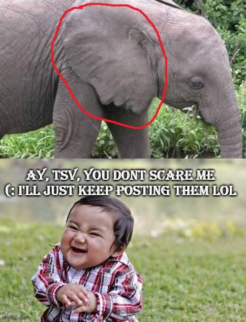 BRUH WTF | AY, TSV, YOU DONT SCARE ME (: I'LL JUST KEEP POSTING THEM LOL | image tagged in memes,evil toddler | made w/ Imgflip meme maker