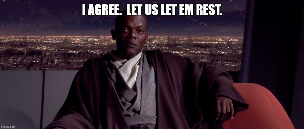 Mace Windu I agree | I AGREE.  LET US LET EM REST. | image tagged in mace windu i agree | made w/ Imgflip meme maker