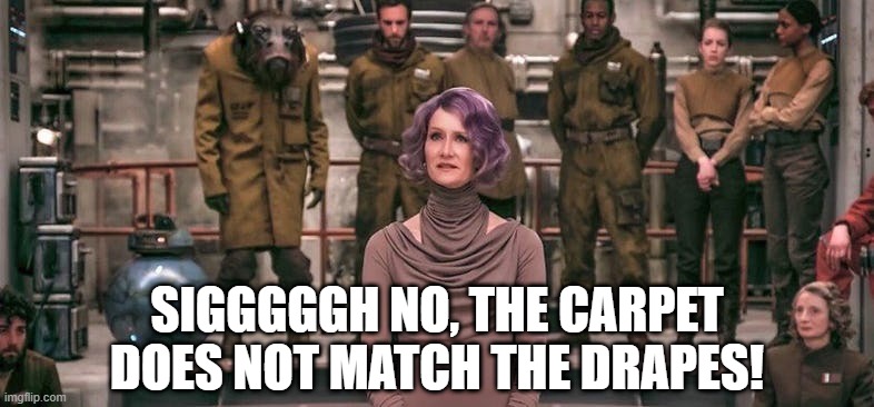 Vice Admiral Hairdoo | SIGGGGGH NO, THE CARPET DOES NOT MATCH THE DRAPES! | image tagged in laura dern star wars | made w/ Imgflip meme maker