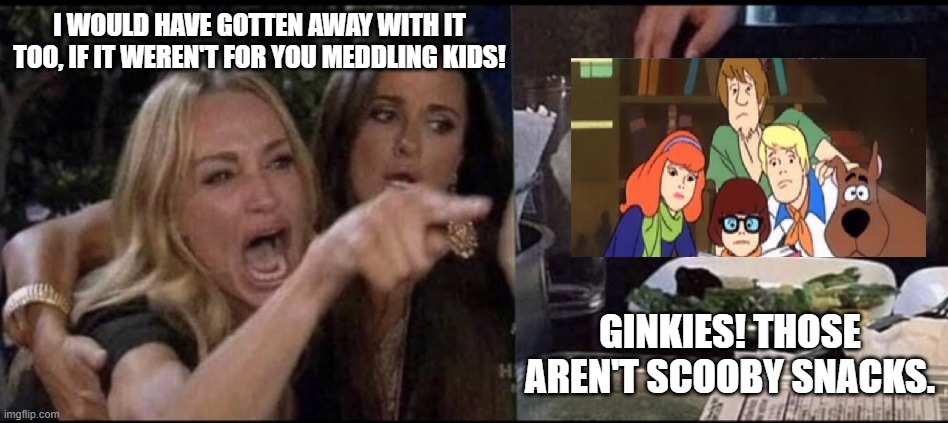Like Poor Scooby Doo..... | I WOULD HAVE GOTTEN AWAY WITH IT TOO, IF IT WEREN'T FOR YOU MEDDLING KIDS! GINKIES! THOSE AREN'T SCOOBY SNACKS. | image tagged in scooby doo,karen,scooby doo meddling kids,2020,what the heck | made w/ Imgflip meme maker