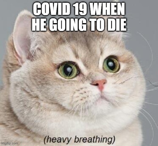Heavy Breathing Cat | COVID 19 WHEN HE GOING TO DIE | image tagged in memes,heavy breathing cat | made w/ Imgflip meme maker