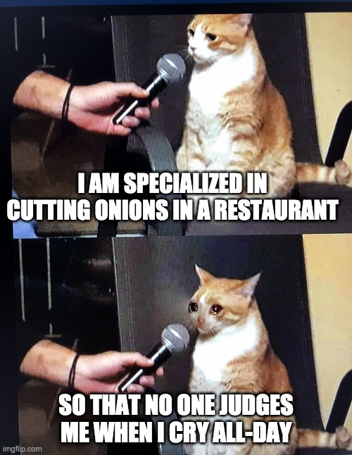 We all have feelings | I AM SPECIALIZED IN CUTTING ONIONS IN A RESTAURANT; SO THAT NO ONE JUDGES ME WHEN I CRY ALL-DAY | image tagged in cat interview crying | made w/ Imgflip meme maker