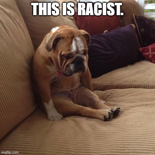 bulldogsad | THIS IS RACIST. | image tagged in bulldogsad | made w/ Imgflip meme maker