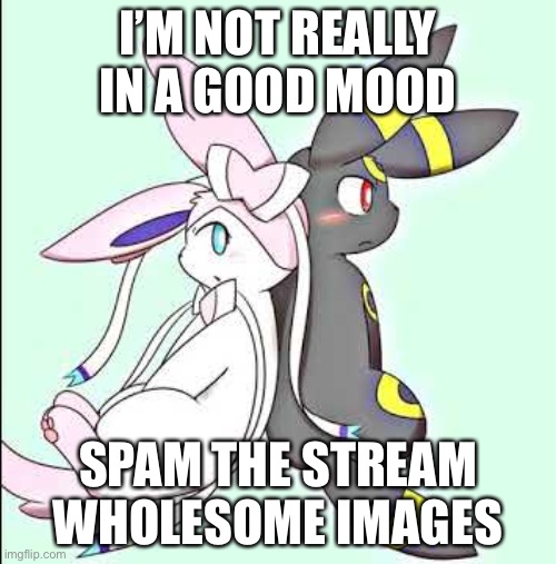 Sylveon and Umbreon | I’M NOT REALLY IN A GOOD MOOD; SPAM THE STREAM WHOLESOME IMAGES | image tagged in sylveon and umbreon | made w/ Imgflip meme maker