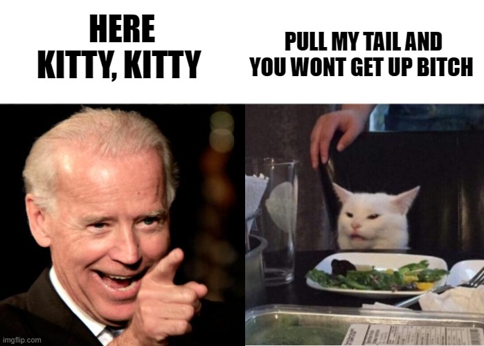 The Biden's White House cat | PULL MY TAIL AND YOU WONT GET UP BITCH; HERE KITTY, KITTY | image tagged in biden,creepy joe biden,trump,election 2020,dead voters,2020 sucks | made w/ Imgflip meme maker