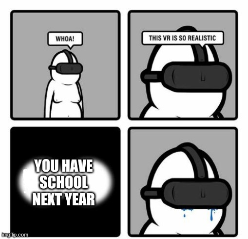 Whoa! This VR is so realistic! | YOU HAVE SCHOOL NEXT YEAR | image tagged in whoa this vr is so realistic | made w/ Imgflip meme maker