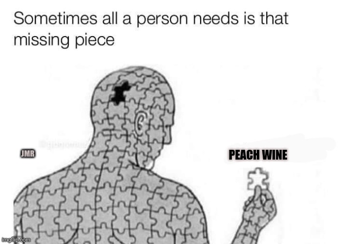 IKR lol | PEACH WINE; JMR | image tagged in missing piece,wine,peach,drink | made w/ Imgflip meme maker
