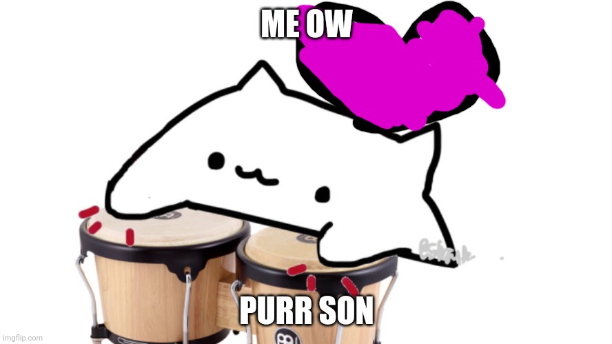 Bongo Cat | ME OW; PURR SON | image tagged in bongo cat | made w/ Imgflip meme maker