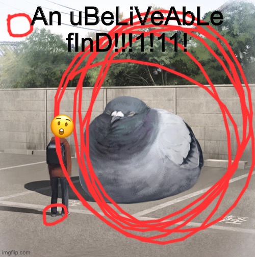 Does this work? | An uBeLiVeAbLe fInD!!!1!11! 😲 | image tagged in beeg birb | made w/ Imgflip meme maker