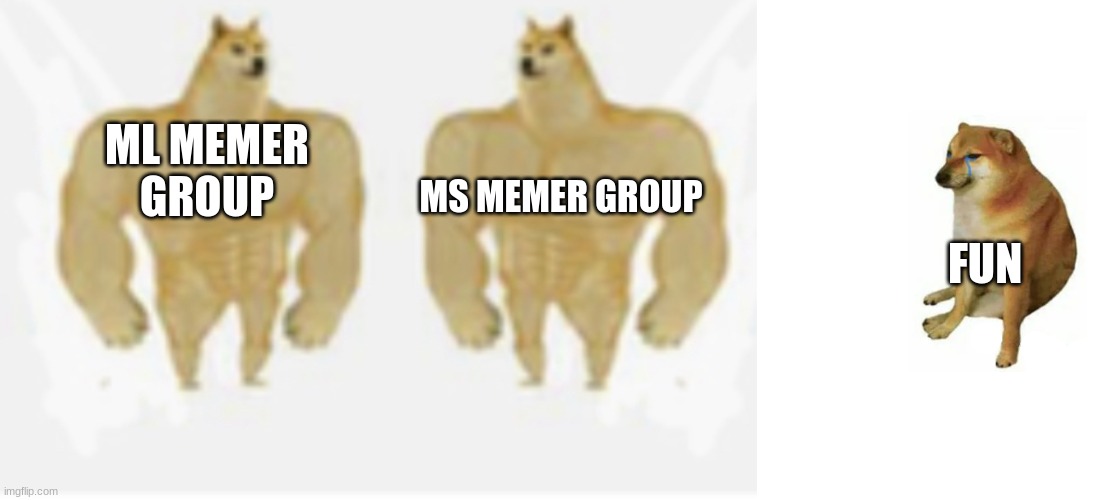 MS MEMER GROUP; ML MEMER  GROUP; FUN | image tagged in buff doge vs crying cheeks but both are buff doge,memes,buff doge vs cheems | made w/ Imgflip meme maker