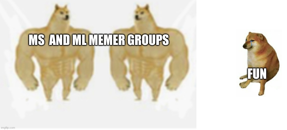 MS  AND ML MEMER GROUPS; FUN | image tagged in buff doge vs crying cheeks but both are buff doge,memes,buff doge vs cheems | made w/ Imgflip meme maker