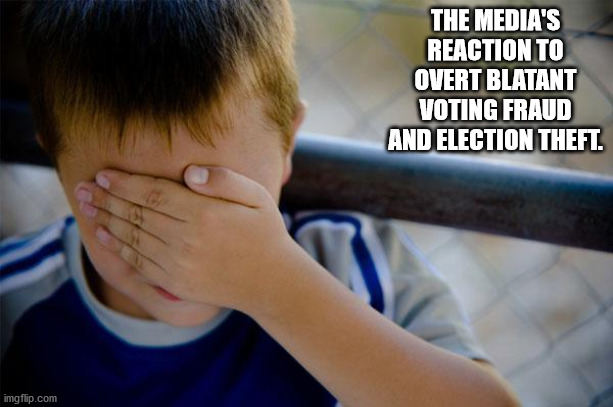 Confession Kid | THE MEDIA'S REACTION TO OVERT BLATANT VOTING FRAUD AND ELECTION THEFT. | image tagged in memes,confession kid | made w/ Imgflip meme maker