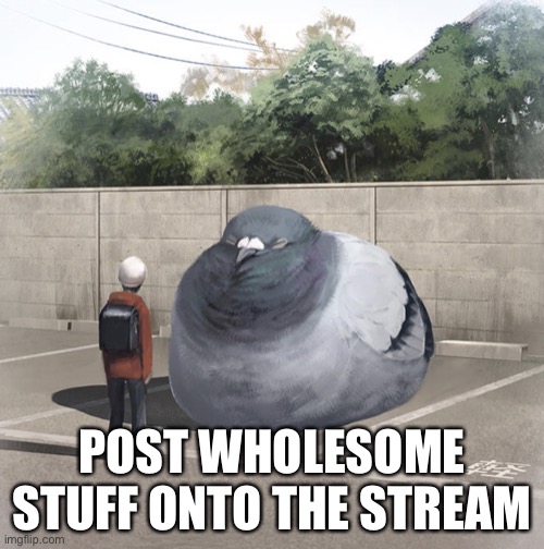 Beeg Birb | POST WHOLESOME STUFF ONTO THE STREAM | image tagged in beeg birb | made w/ Imgflip meme maker