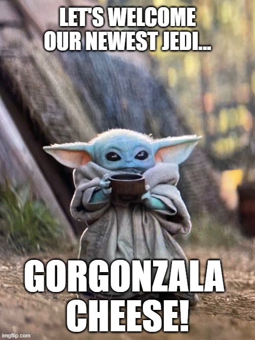 What exactly are we calling this thing now?? | LET'S WELCOME OUR NEWEST JEDI... GORGONZALA 
CHEESE! | image tagged in baby yoda tea,grogu | made w/ Imgflip meme maker