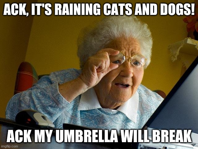 ack its raining cats and dogs | ACK, IT'S RAINING CATS AND DOGS! ACK MY UMBRELLA WILL BREAK | image tagged in memes,grandma finds the internet | made w/ Imgflip meme maker