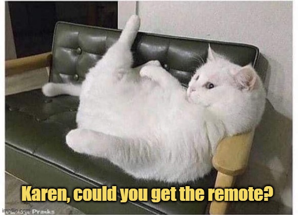 Too Comfy to Move | Karen, could you get the remote? | image tagged in cats,cat memes,funny cat memes,cat | made w/ Imgflip meme maker