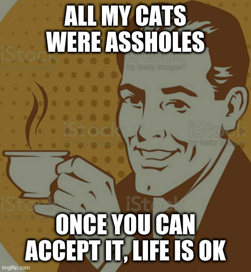 and my current cat, but he can also be gentle and loving | ALL MY CATS WERE ASSHOLES; ONCE YOU CAN ACCEPT IT, LIFE IS OK | image tagged in mug approval | made w/ Imgflip meme maker