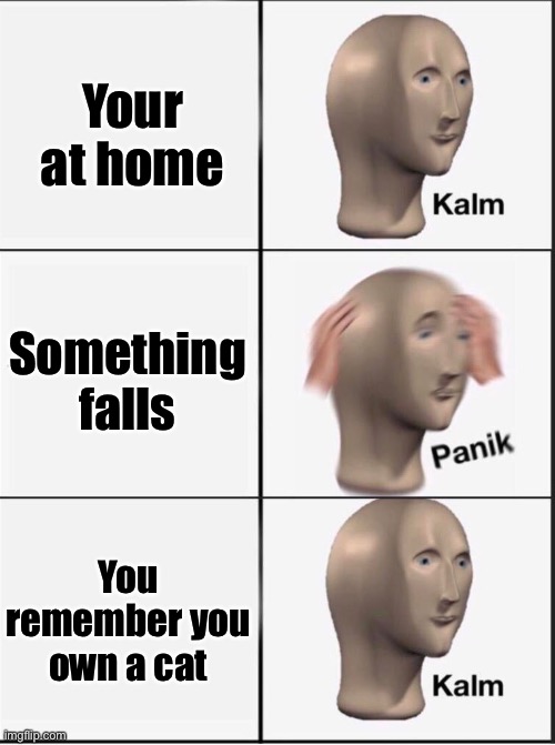 Reverse kalm panik | Your at home Something falls You remember you own a cat | image tagged in reverse kalm panik | made w/ Imgflip meme maker