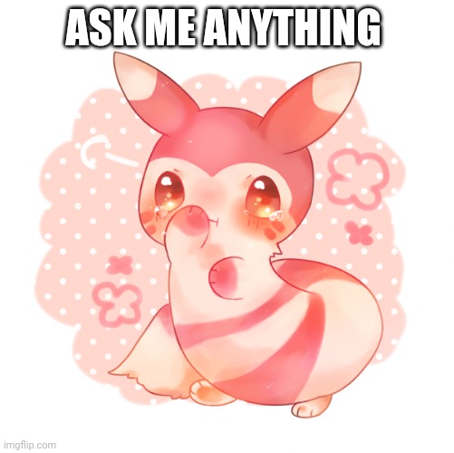 Ferret pokemon | ASK ME ANYTHING | image tagged in ferret pokemon | made w/ Imgflip meme maker