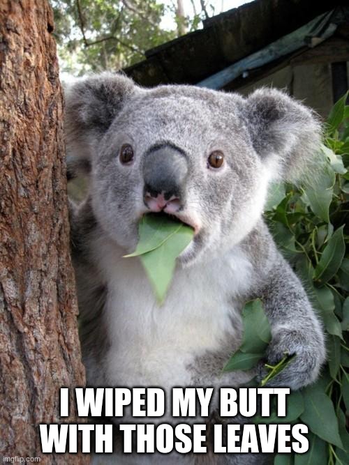 Surprised Koala | I WIPED MY BUTT WITH THOSE LEAVES | image tagged in memes,surprised koala | made w/ Imgflip meme maker
