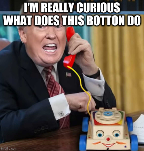 the bomb | I'M REALLY CURIOUS WHAT DOES THIS BOTTON DO | image tagged in i'm the president | made w/ Imgflip meme maker