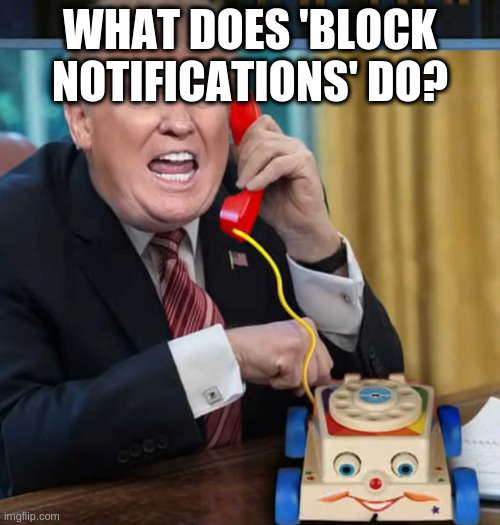 I'm the president | WHAT DOES 'BLOCK NOTIFICATIONS' DO? | image tagged in i'm the president | made w/ Imgflip meme maker