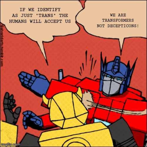 Transformers | WE ARE TRANSFORMERS NOT DECEPTICONS! IF WE IDENTIFY AS JUST "TRANS" THE HUMANS WILL ACCEPT US | image tagged in transformer slap,transformers,trans | made w/ Imgflip meme maker