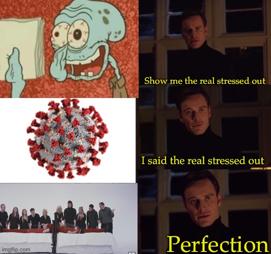 perfection | Show me the real stressed out; I said the real stressed out; Perfection | image tagged in perfection | made w/ Imgflip meme maker