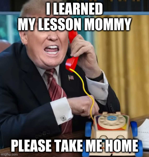 I'm the president | I LEARNED MY LESSON MOMMY; PLEASE TAKE ME HOME | image tagged in i'm the president | made w/ Imgflip meme maker
