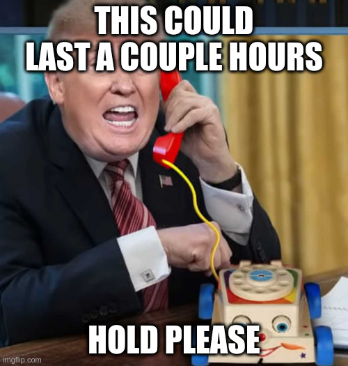 I'm the president | THIS COULD LAST A COUPLE HOURS; HOLD PLEASE | image tagged in i'm the president | made w/ Imgflip meme maker