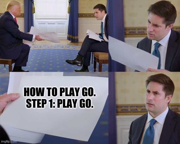 Well you're not wrong. | HOW TO PLAY GO.
STEP 1: PLAY GO. | image tagged in trump interview | made w/ Imgflip meme maker
