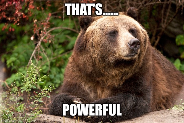 Moody Bear | THAT’S...... POWERFUL | image tagged in moody bear | made w/ Imgflip meme maker