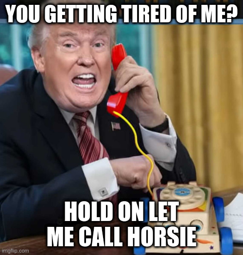 TO ALL MY LIBERAL FRIENDS, BE TRUE AND BE PROUD! | YOU GETTING TIRED OF ME? HOLD ON LET ME CALL HORSIE | image tagged in i'm the president,rumpt | made w/ Imgflip meme maker