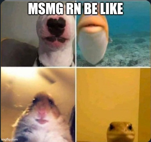 online classes | MSMG RN BE LIKE | image tagged in online classes | made w/ Imgflip meme maker