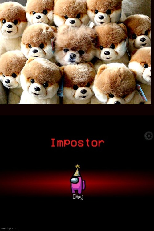 Impostor | Dog | image tagged in impostor | made w/ Imgflip meme maker
