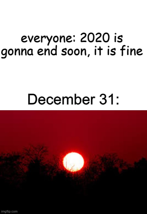 everyone: 2020 is gonna end soon, it is fine; December 31: | image tagged in blank white template,scp,2020,december | made w/ Imgflip meme maker