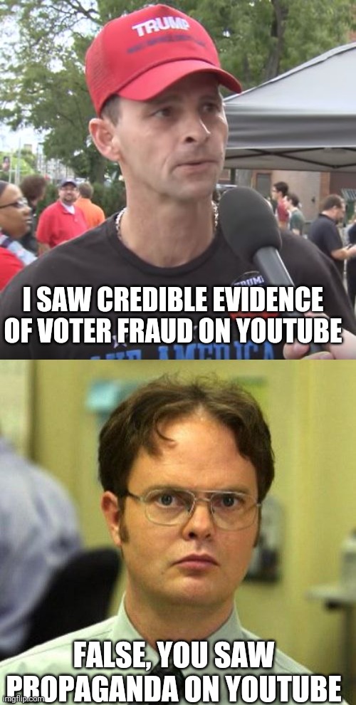 Credible evidence holds up in a court of law | I SAW CREDIBLE EVIDENCE OF VOTER FRAUD ON YOUTUBE; FALSE, YOU SAW PROPAGANDA ON YOUTUBE | image tagged in trump supporter,false | made w/ Imgflip meme maker
