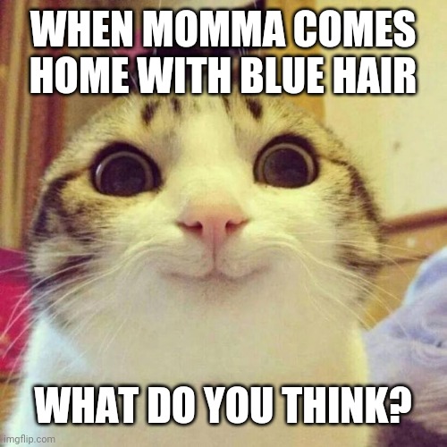 Smiling Cat Meme | WHEN MOMMA COMES HOME WITH BLUE HAIR; WHAT DO YOU THINK? | image tagged in memes,smiling cat | made w/ Imgflip meme maker
