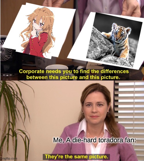Palm top tiger (I want more toradora pleaaaase) | Me, A die-hard toradora fan: | image tagged in memes,they're the same picture | made w/ Imgflip meme maker