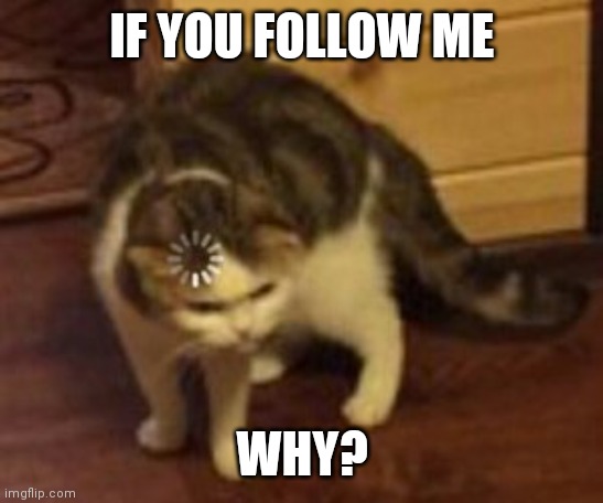 æ | IF YOU FOLLOW ME; WHY? | image tagged in loading cat | made w/ Imgflip meme maker
