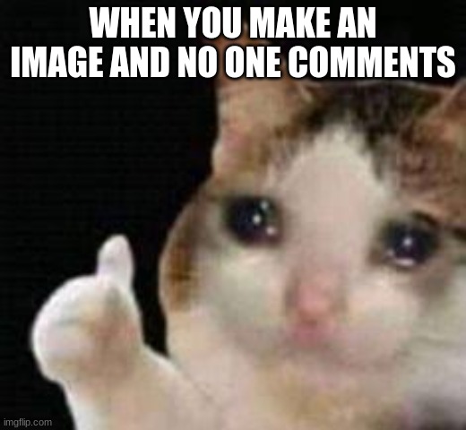 NOT EVEN THE "PITY XD" | WHEN YOU MAKE AN IMAGE AND NO ONE COMMENTS | image tagged in approved crying cat | made w/ Imgflip meme maker