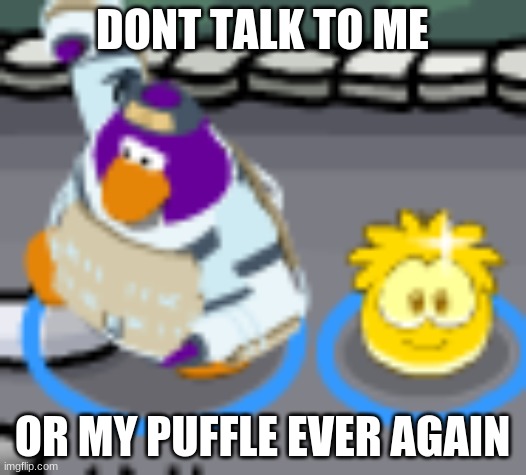 me to someone when they say Santa aint real | DONT TALK TO ME; OR MY PUFFLE EVER AGAIN | image tagged in ninja penguin with puffle | made w/ Imgflip meme maker