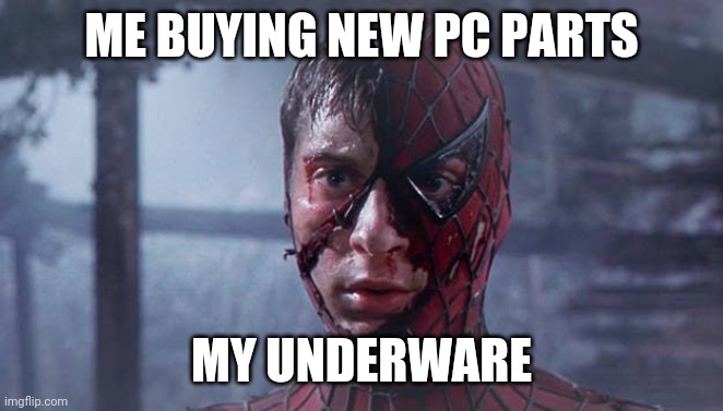 Pc | ME BUYING NEW PC PARTS; MY UNDERWARE | image tagged in spiderman mask ripped | made w/ Imgflip meme maker