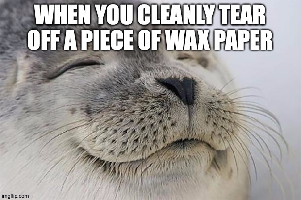 Seal of Approval | WHEN YOU CLEANLY TEAR OFF A PIECE OF WAX PAPER | image tagged in memes,satisfied seal,special,paper,fantasy | made w/ Imgflip meme maker